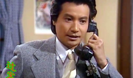 黄日华苗侨伟电视剧,江湖传奇，兄弟情深