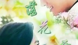 花开花落电视剧,岁月流转中的情感纠葛
